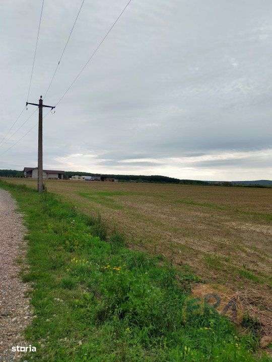 Teren Osorhei, Str. 610 - Imagine principală: 1/8