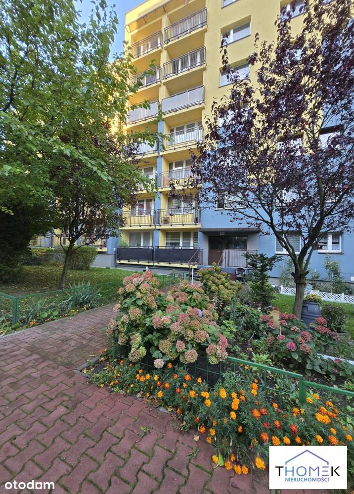 Przestronne mieszkanie - Dąbrowa Górnicza-16