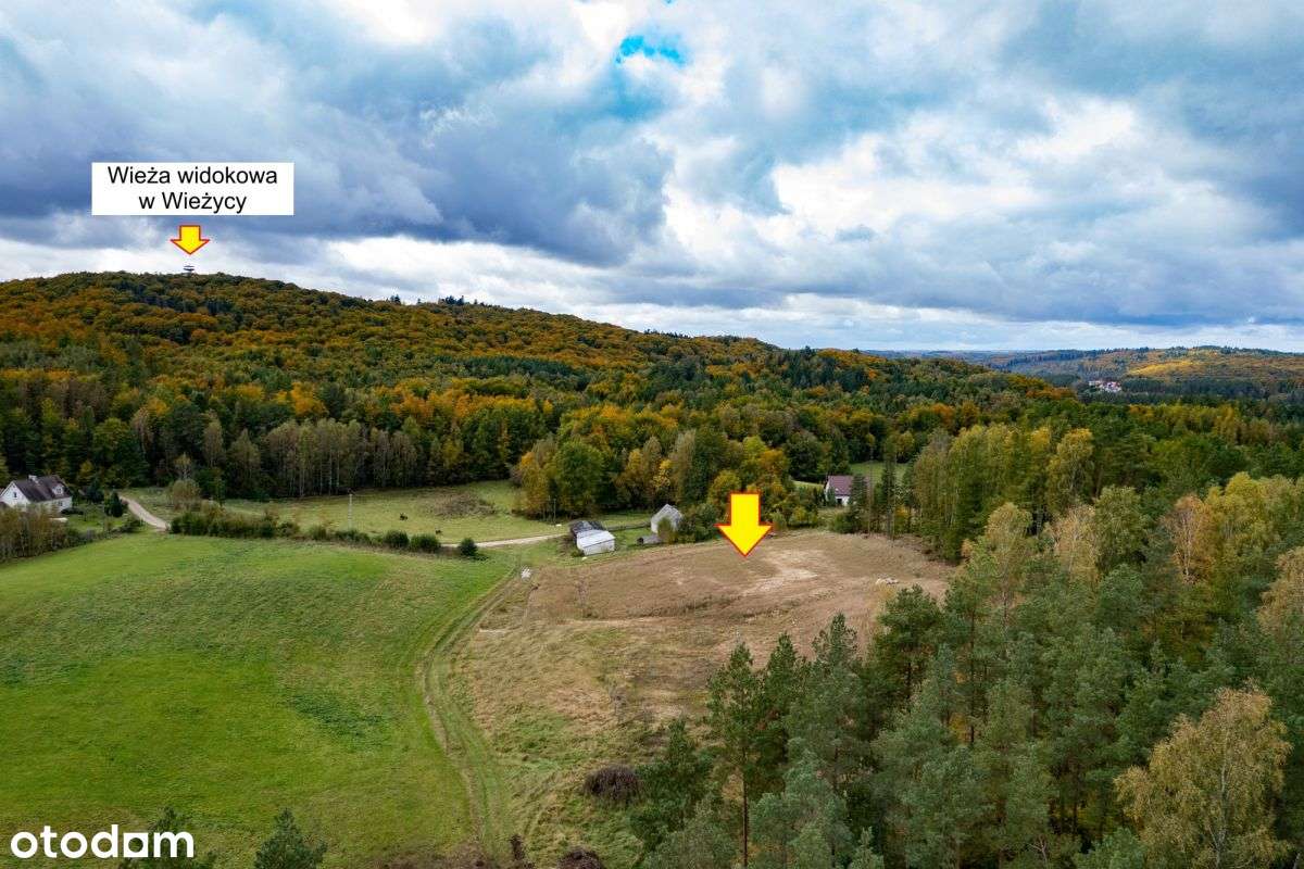Niezwykle atrakcyjne działki budowlane - Wieżyca - Pełny obrazek: 4/9