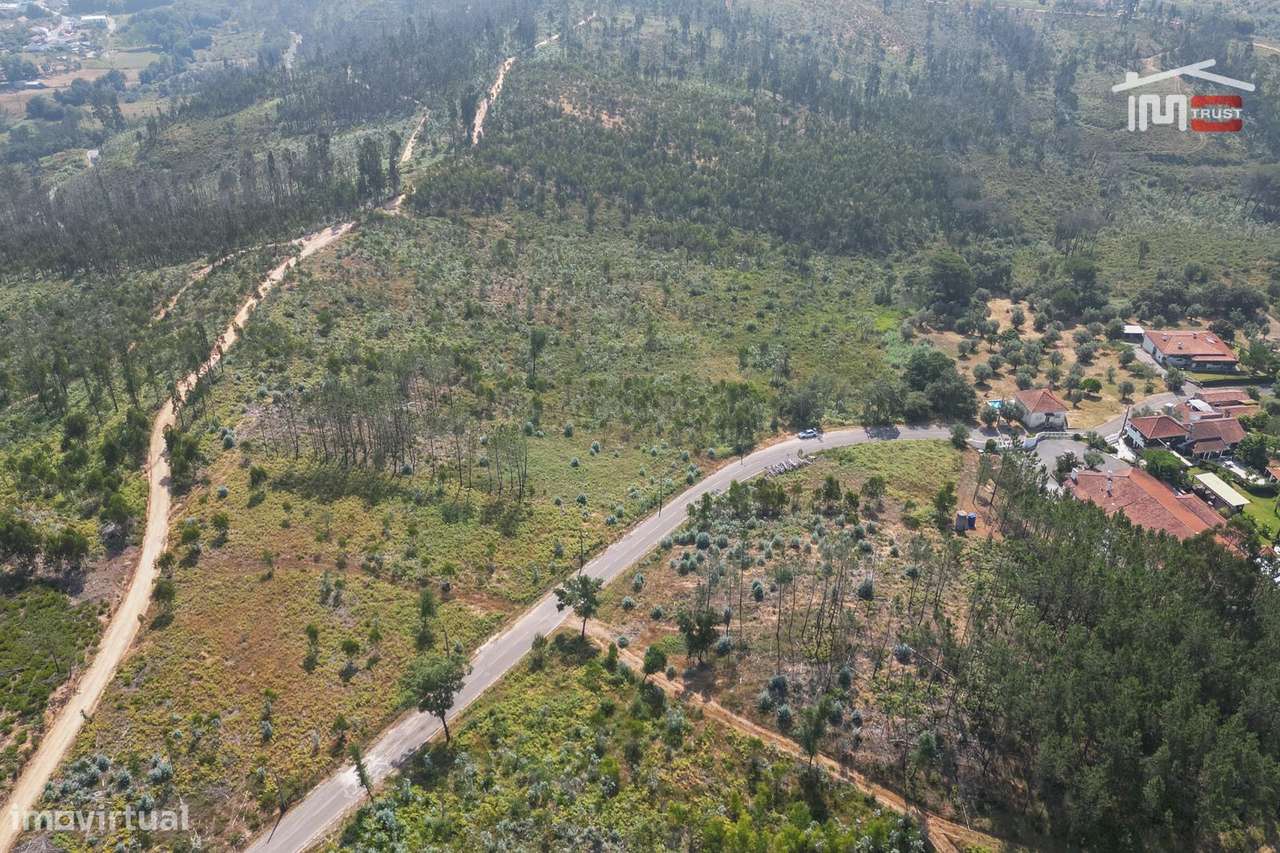 Terreno com 18.600 m2 no Olival - Grande imagem: 5/15