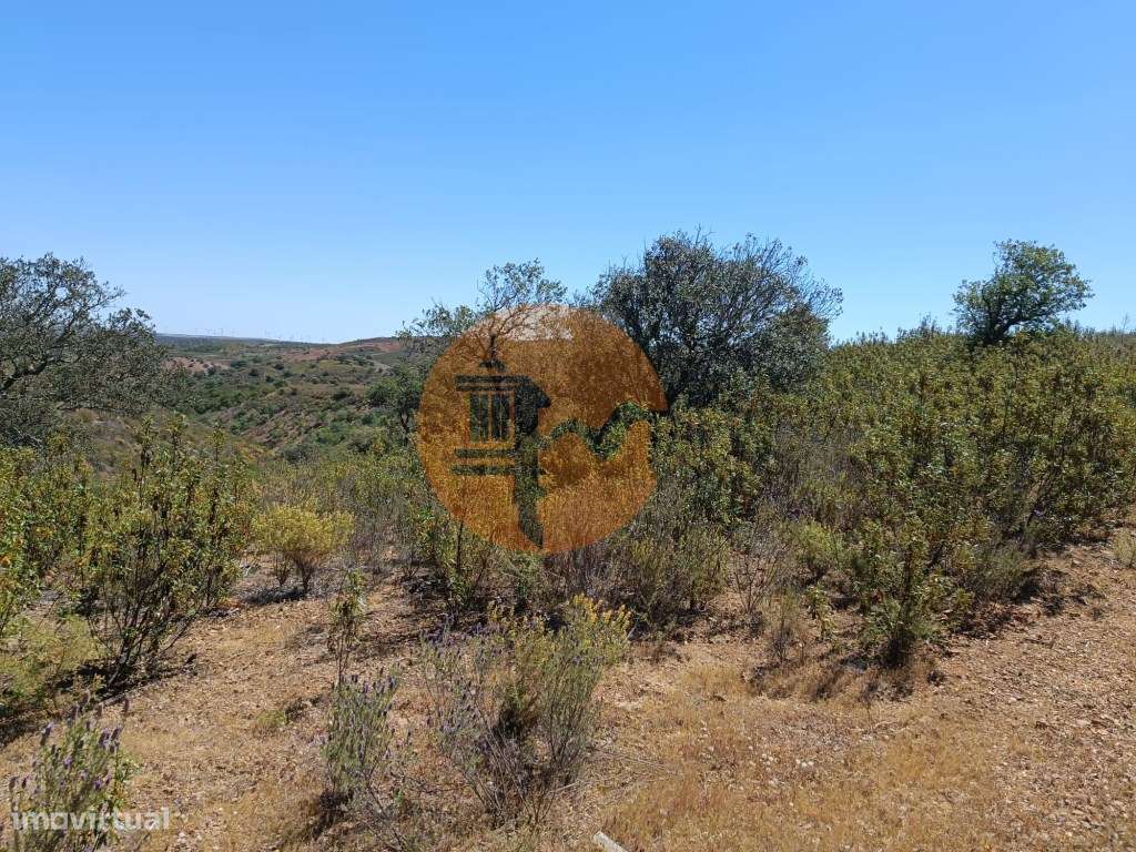 TERRENO COM 34.700 M2 - POSSIBILIDADES DE CONSTRUIR UM ARMAZEM - PR...-27