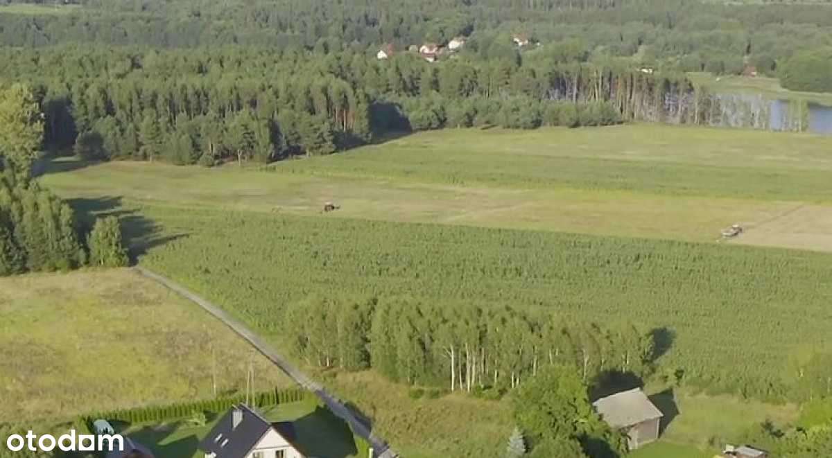 Działka budowlana lasy jeziora Gwieździn - Pełny obrazek: 5/8