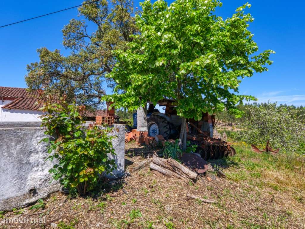 QUINTA COM MORADIA T2 EM DEGOLADOS - CARVOEIRO DE MAÇÃO-29
