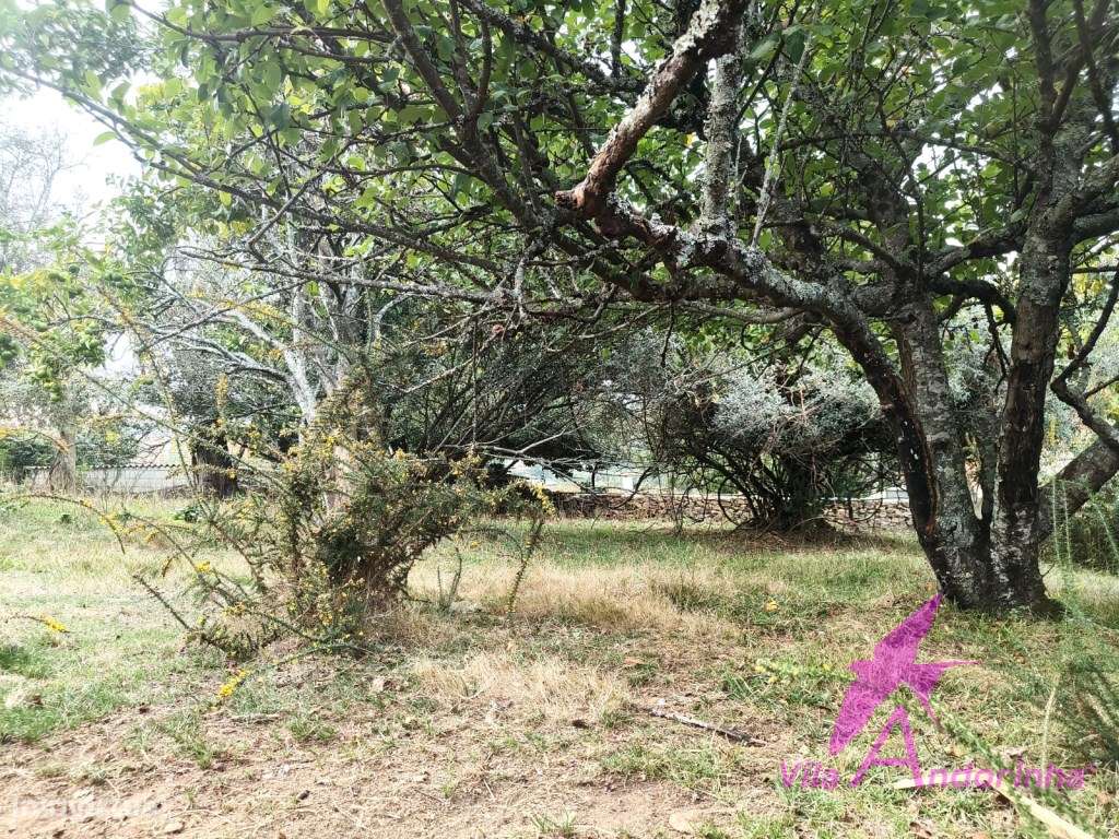Terreno com Anexo em Pedra em Samonde - Santa Marta de Portuzelo-5