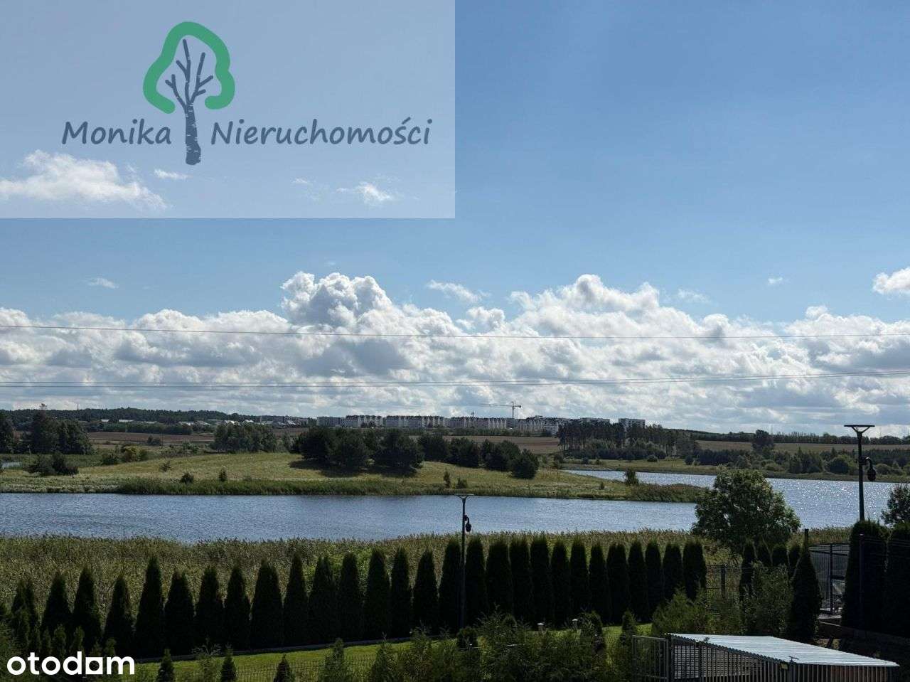 Dom Nad Jeziorem Z Basenem I Palmami-6