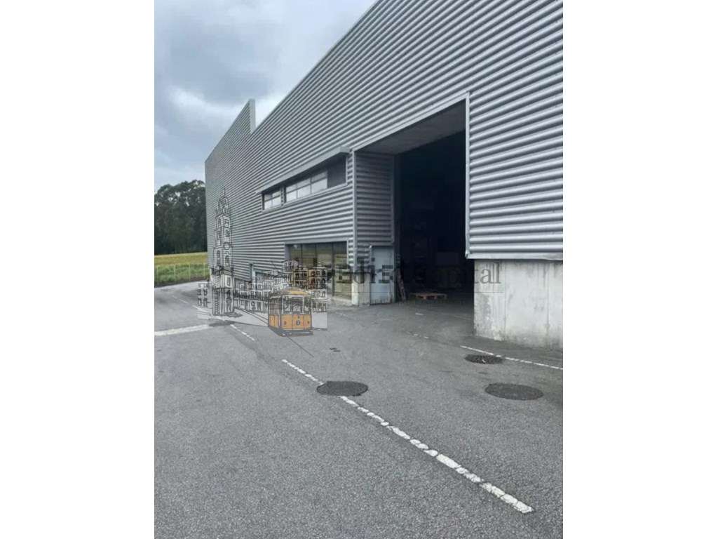 EXCELENTE ARMAZÈM GUILHABREU - Grande imagem: 2/21