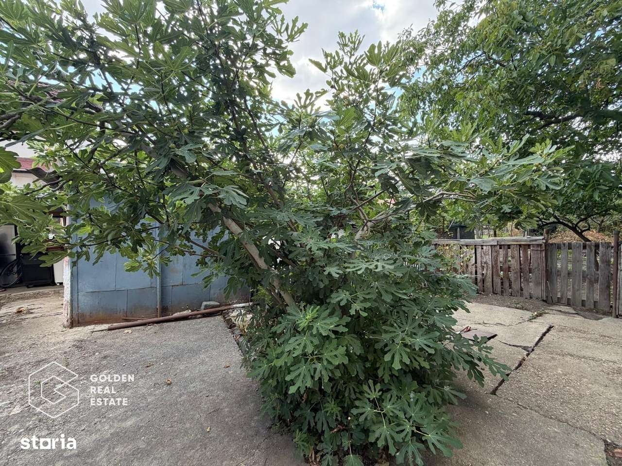 Casa cu doua corpuri de cladire in Gradiste-15
