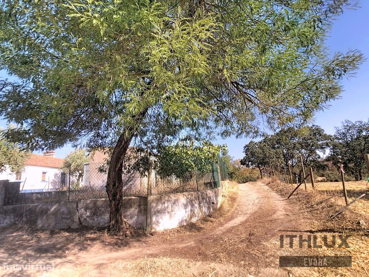 Terreno Rústico c/ arrecadação  - Ciborro - Grande imagem: 4/16