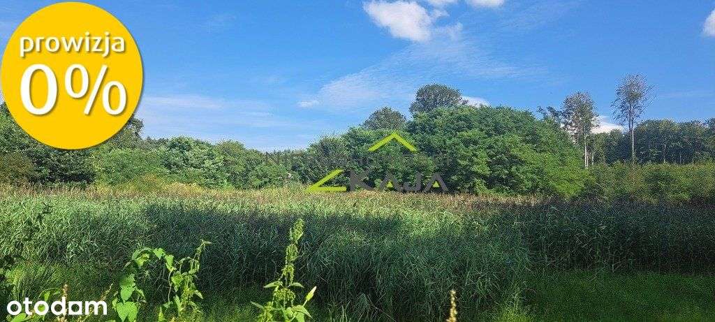 Urokliwie położona działka z lasem i stawem - Pełny obrazek: 2/20