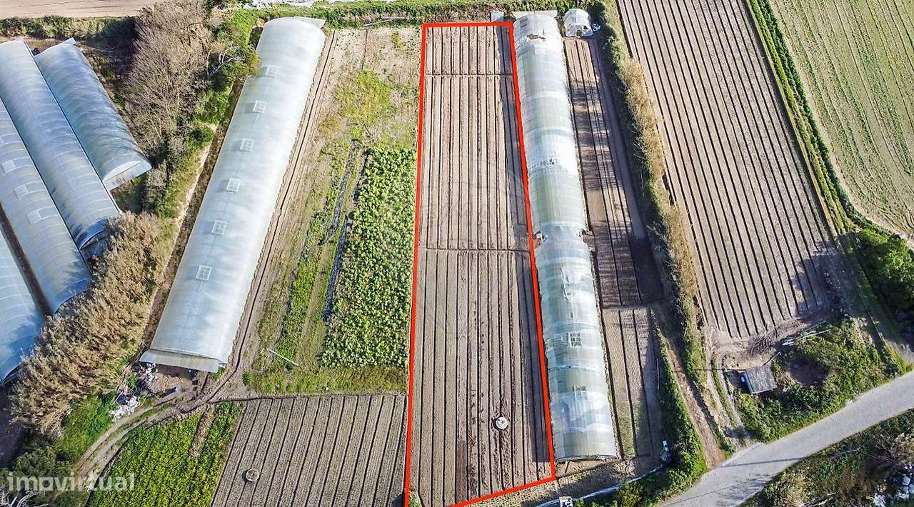 Terreno  para venda - Grande imagem: 4/10