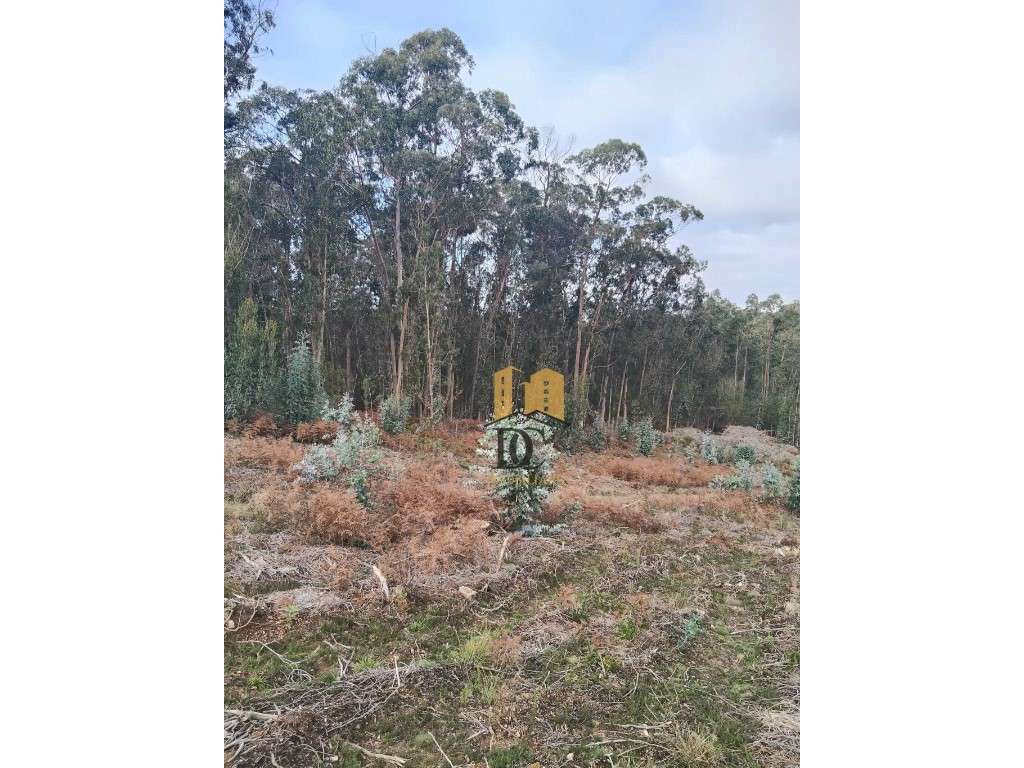 Terreno florestal em Rates-8