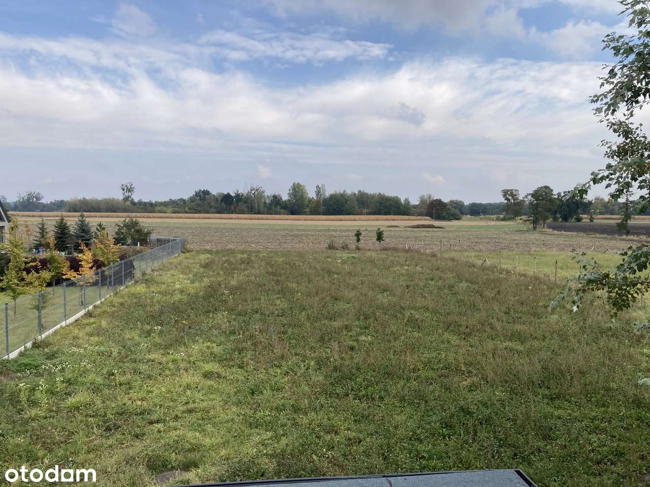 Bezpośrednio dom wolnostojący na dużej działce - Pełny obrazek: 4/17