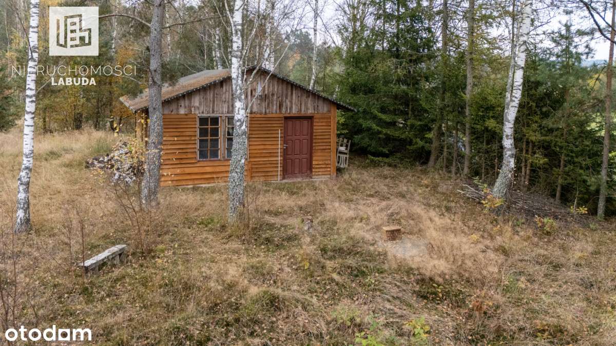 Duża zadrzewiona działka z potencjałem w Jamnie - Pełny obrazek: 4/16