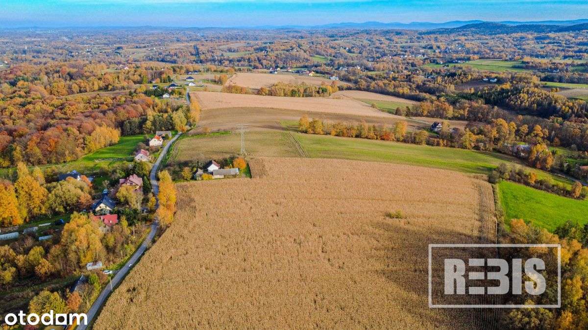 Eng| Działka Budowlano-Rolna, Tłuczań, 42a-0