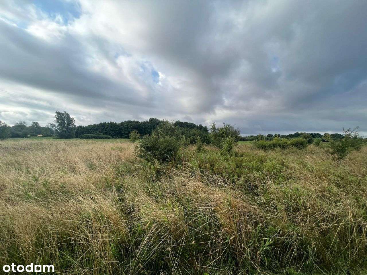 Rusinowo 500 m2 - piękna działka w zaciszu, 2km od morza-3