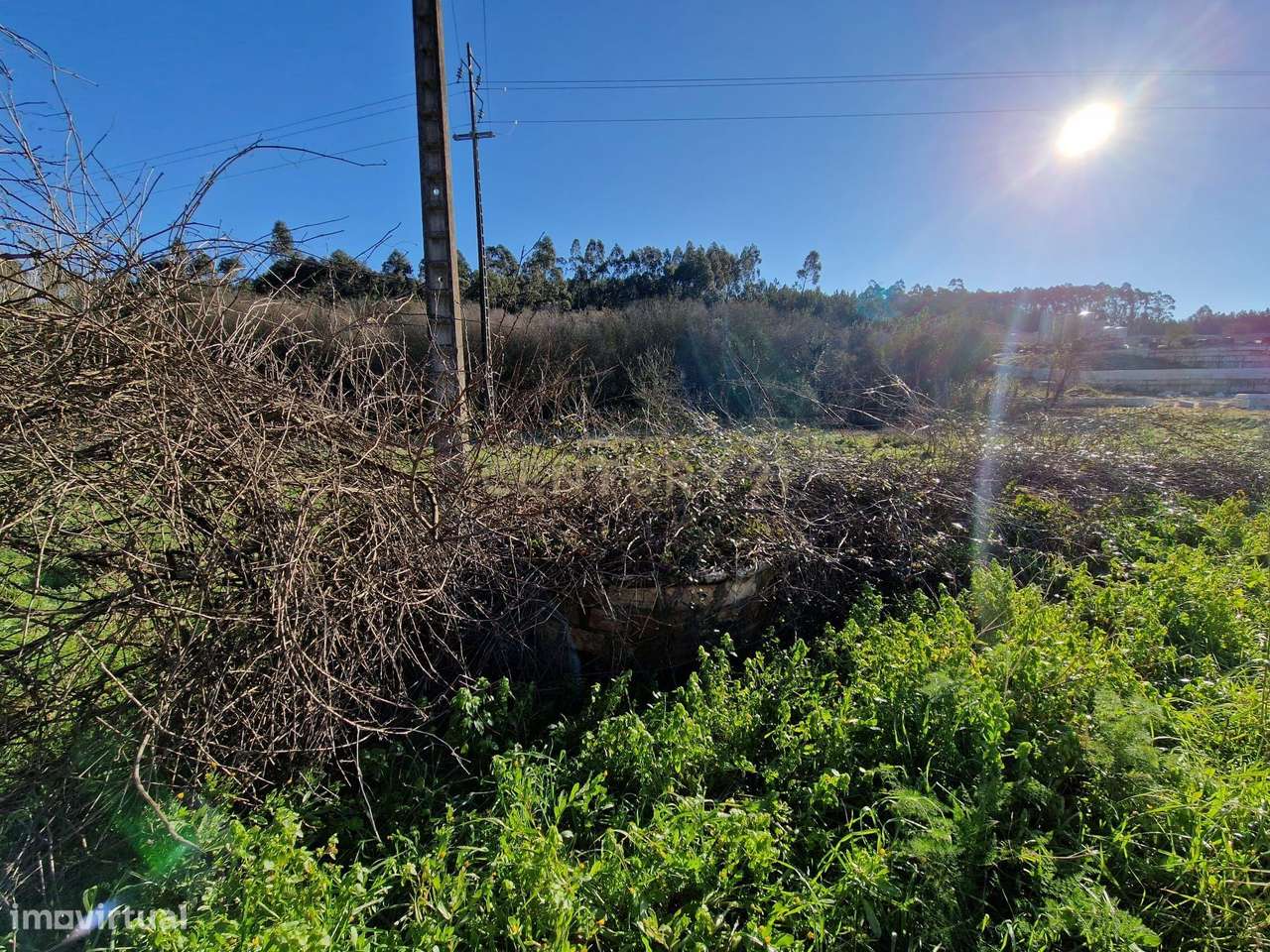 Terreno para construção de Moradia em Cartaria - Grande imagem: 4/15