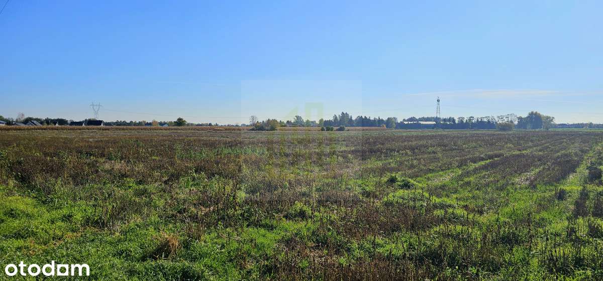 Piękna działka w Bieniewicach na osiedlu domków - Pełny obrazek: 5/15