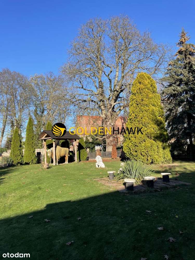 Teren - Dom, Hala, Działa! Inwestycja! - Pełny obrazek: 4/9