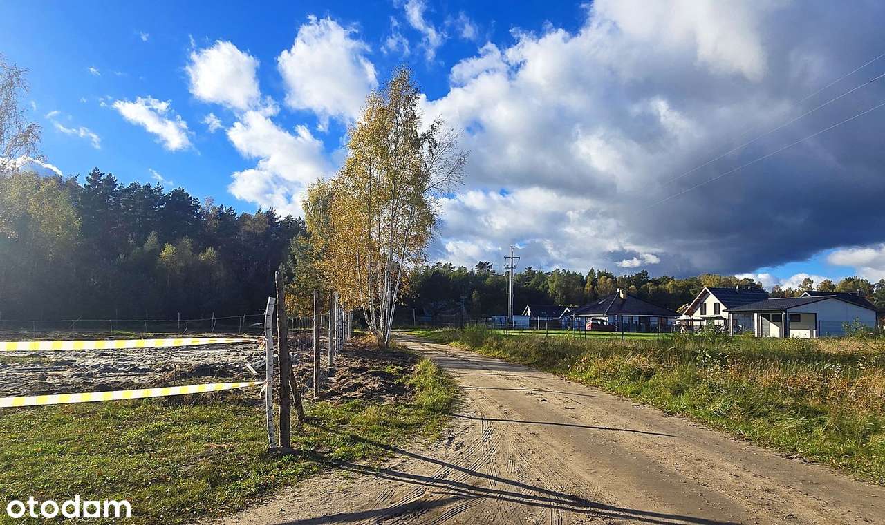 DUŻA DZIAŁKA NA GRANICY LASU Z WARUNKAMI ZABUDOWY - Pełny obrazek: 5/14