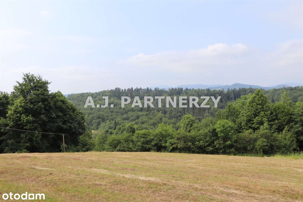 Działka w otoczeniu lasu z widokiem na góry-8
