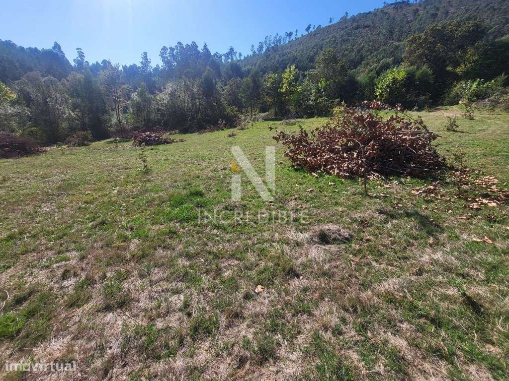 Terreno Rústico 5527 m² em Bucos, Cabeceiras de Basto - Grande imagem: 4/12