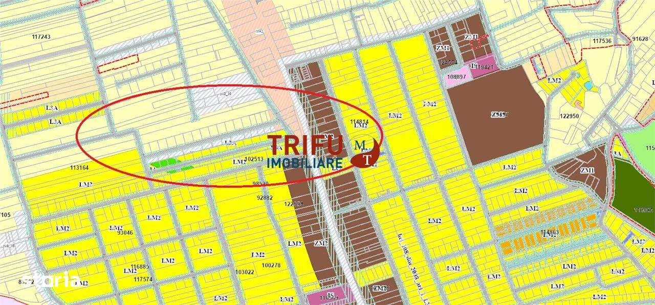 Teren Intravilan Generos, 9413 mp, cu Vedere Spre Pădure, în Zona Mice - Imagine principală: 4/4