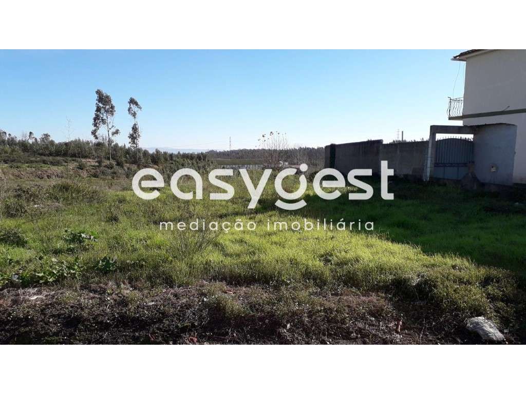 Terreno Construção de Moradia Isolada-Paião - Grande imagem: 4/4