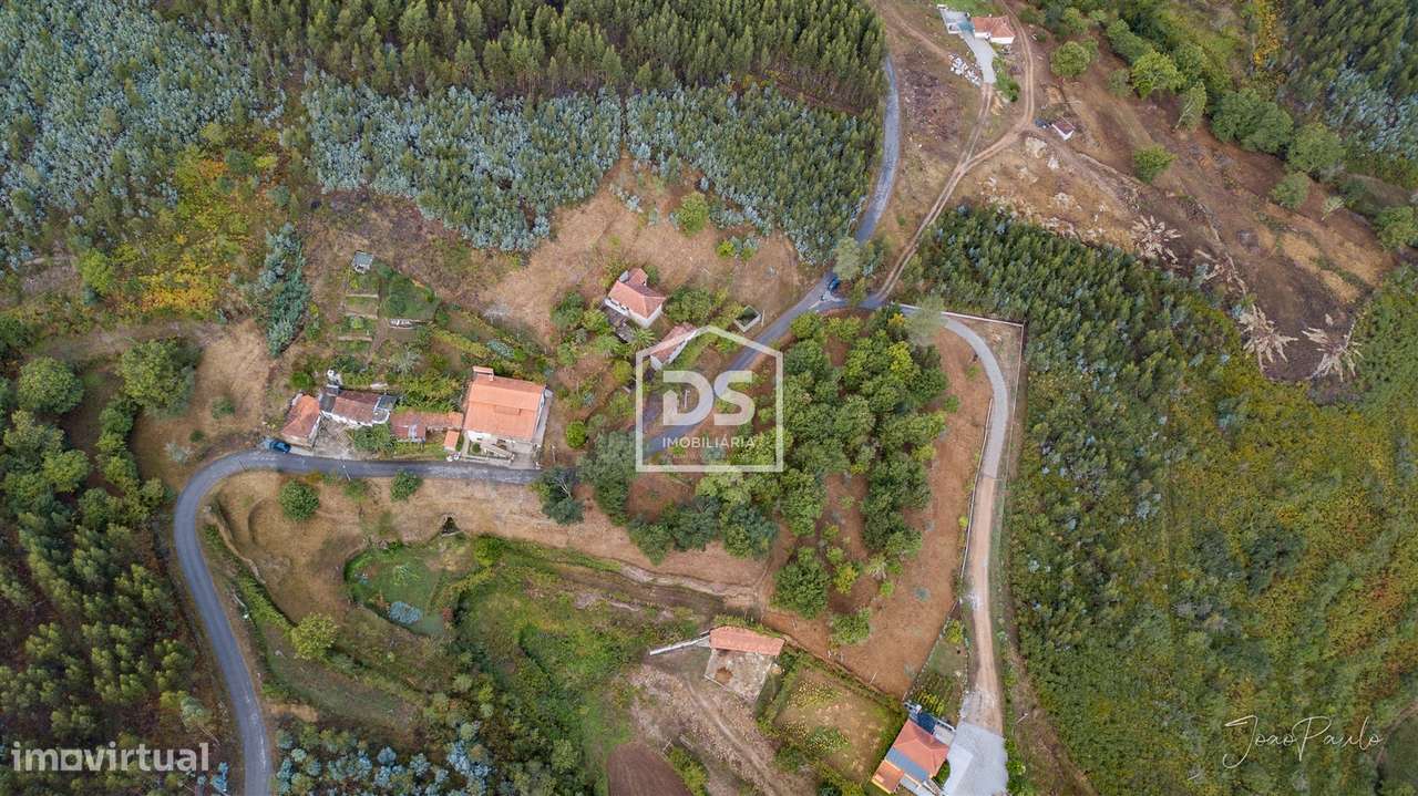 Quinta  Venda em Raiva, Pedorido e Paraíso,Castelo de Paiva - Grande imagem: 5/40