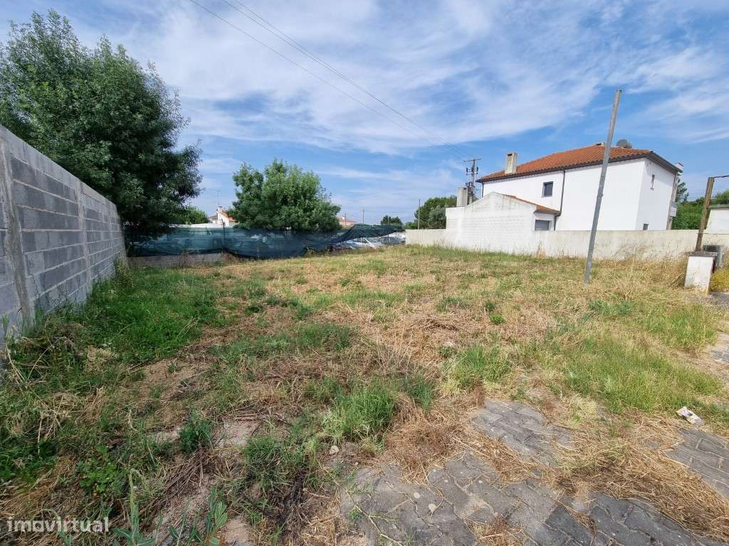 LOTE - Moradia - Grande imagem: 4/6