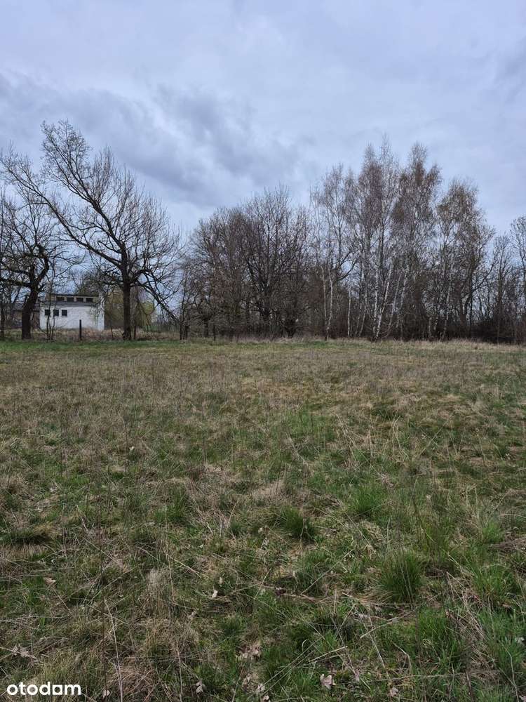 Działka 3036 m² w spokojnej okolicy - Pełny obrazek: 4/4