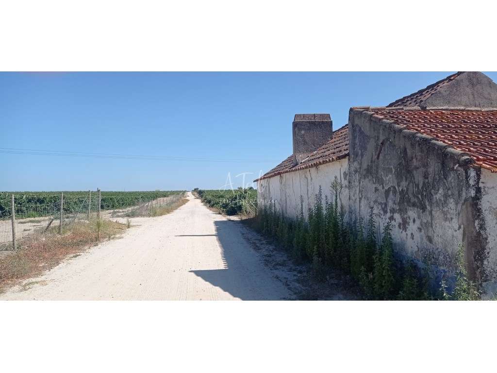 Terreno com Armazém e moradia - POCEIRÃO - Grande imagem: 2/6