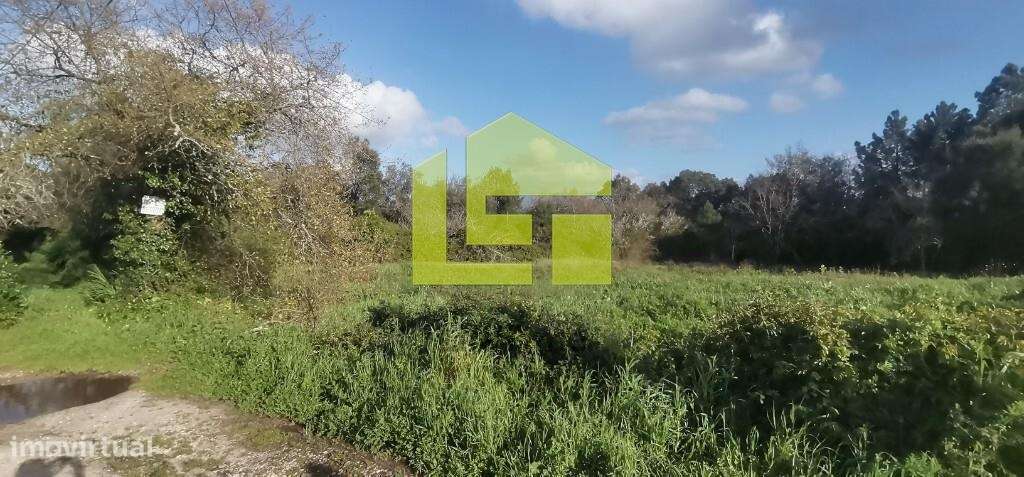 Terreno para construção, Carvalhais - Grande imagem: 3/13