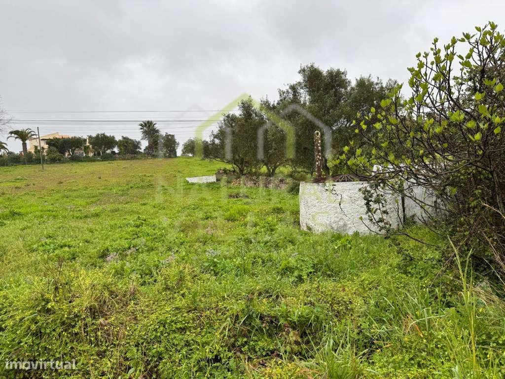 Terreno Rústico junto à Estrada, Santa Bárbara de Nexe - Grande imagem: 2/4