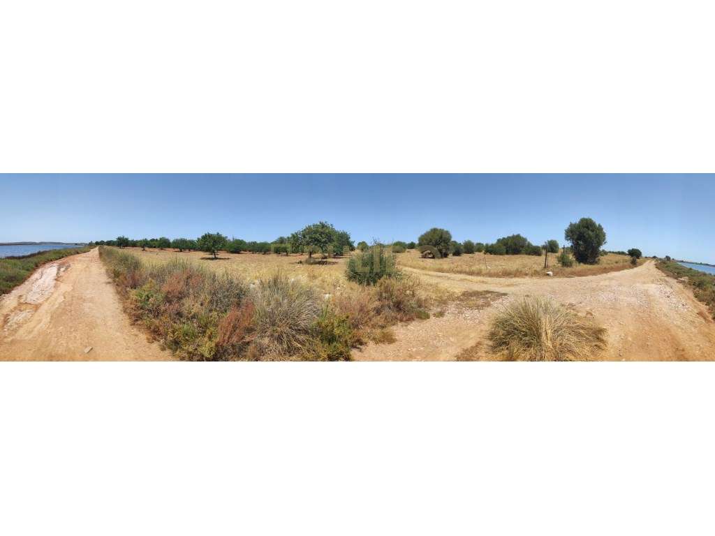 Quinta em Castro Marim a 5km da praia-32