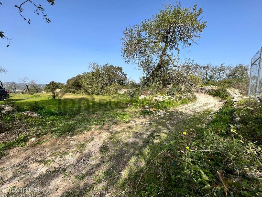terreno rústico no sitio dos Quartos, Loulé - Grande imagem: 3/11