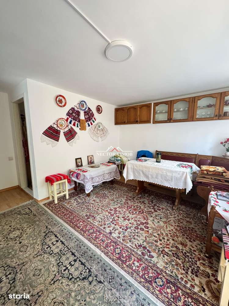 NECTORA IMOB-Casa cu etaj, mobilata, utilata, Episcopia, cu livada-9