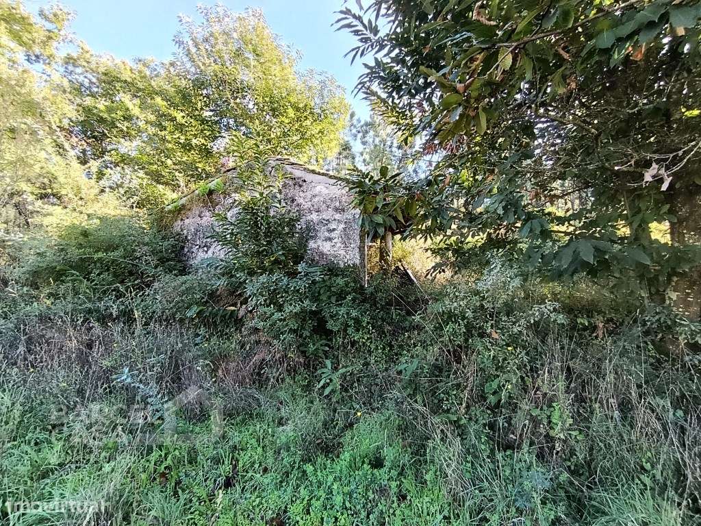 Terreno de construção em Gamil - Barcelos - Grande imagem: 5/10