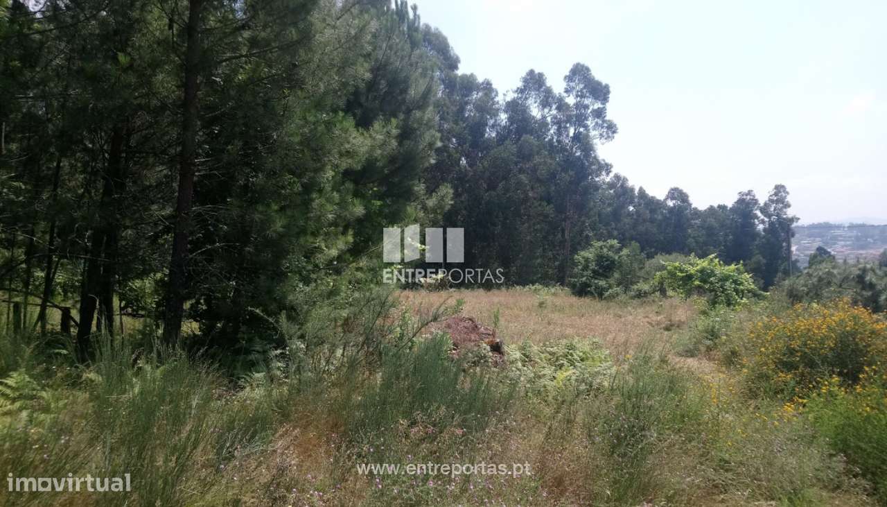 Venda Terreno, próximo rio, Alpendurada e Matos, Marco de Canaveses - Grande imagem: 5/6