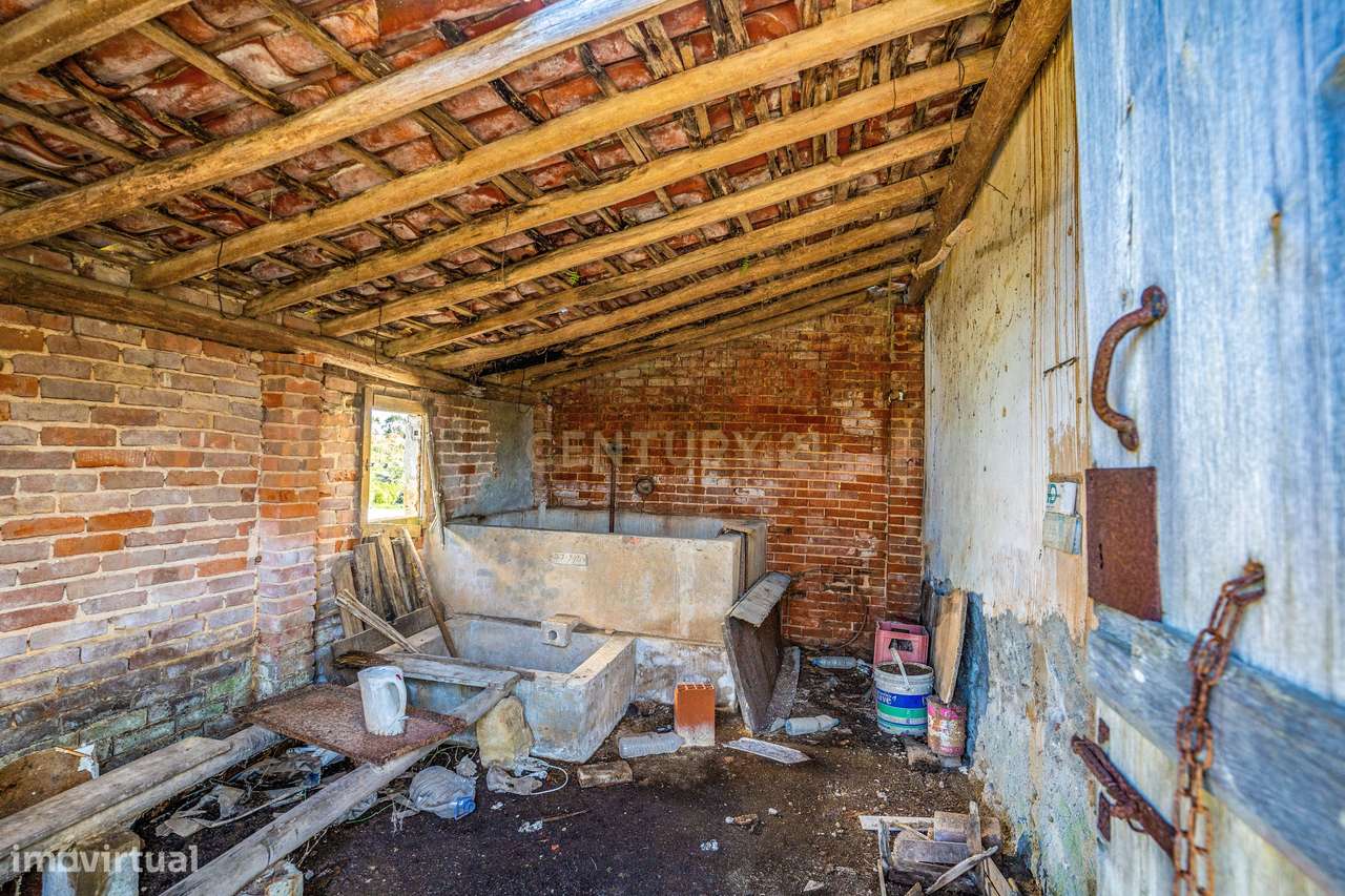 Ruina | Lagoa Parceira | Caldas da Rainha - Grande imagem: 5/18