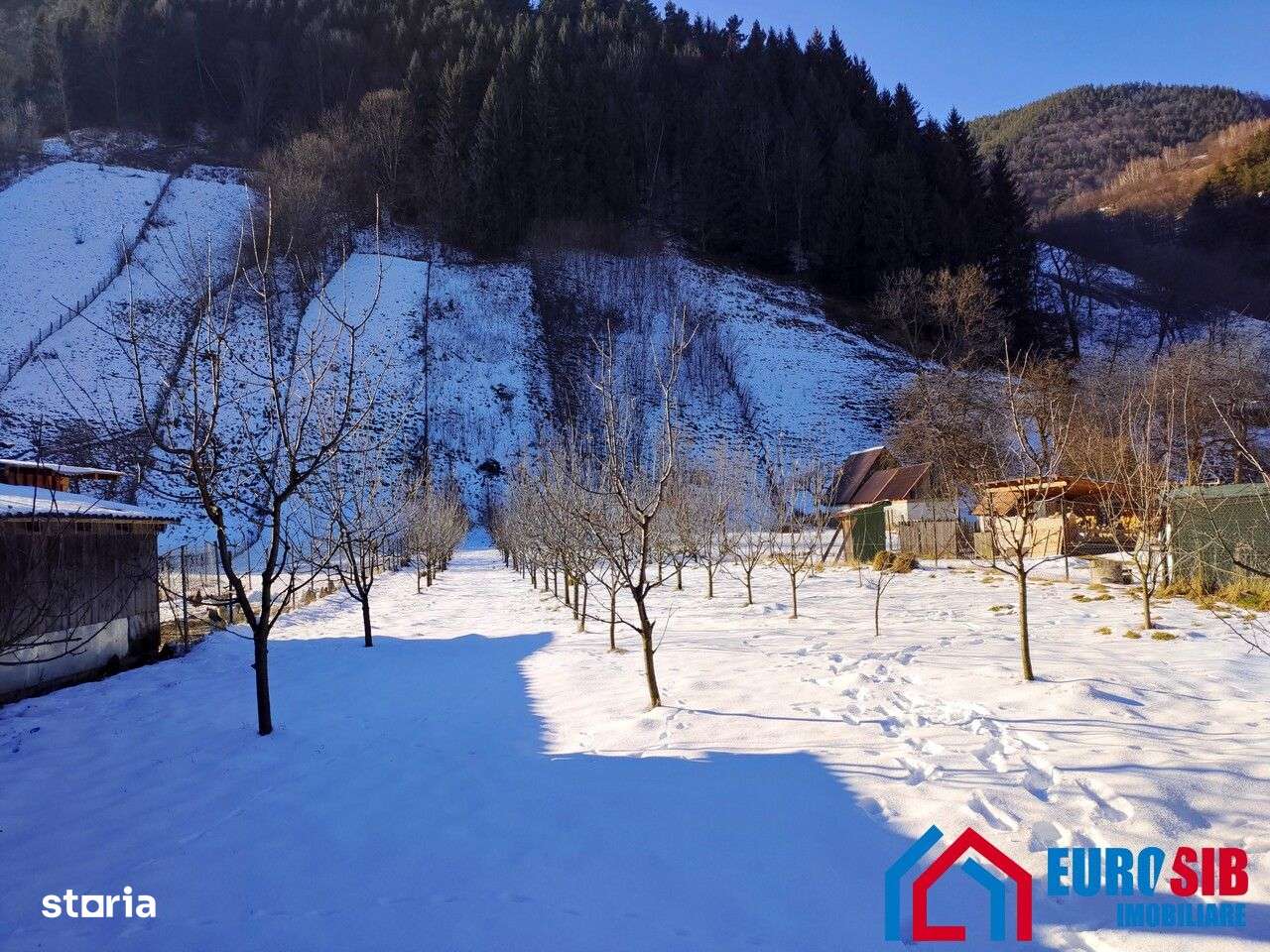 Teren intravilan cu 2 case traditionale in Sibiu Rau Sadului - Imagine principală: 4/6