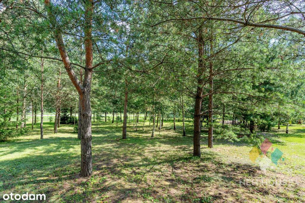 Dom 209 m2, 5 pokoi, w pobliżu jezior-16