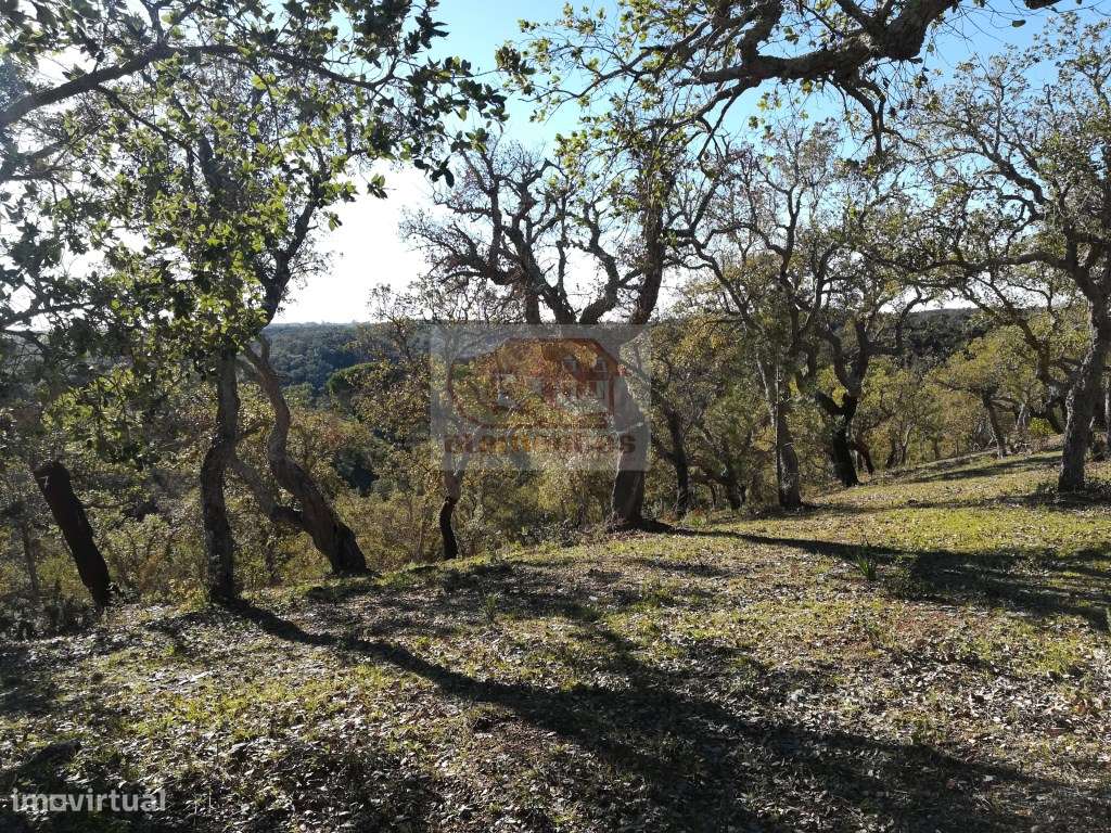 Hotel Rural: PRONTO A CONSTRUIR com todos os projectos aprovados-12