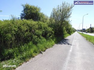 Blisko centrum miasta. - Pełny obrazek: 4/6