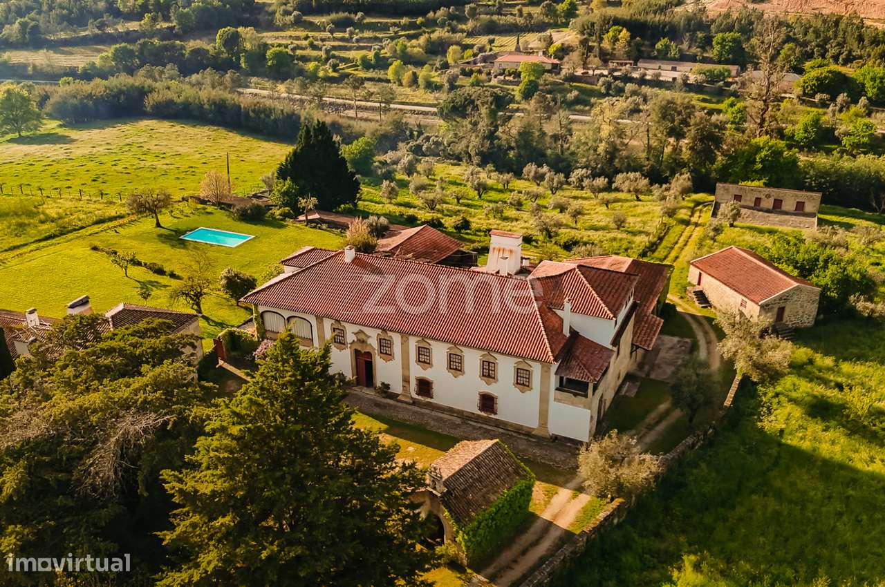 Quinta Exclusiva em Mangualde – 130 Hectares de Potencial e Históri... - Grande imagem: 3/60