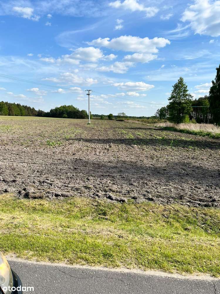 Działki budowalne przy lesie/WZ na 4 domy/ Przybyłów/Galewice-5