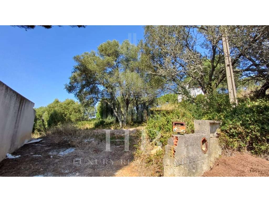 Moradia T2 para recuperar no Alto de Bicesse | Cascais - Grande imagem: 5/28