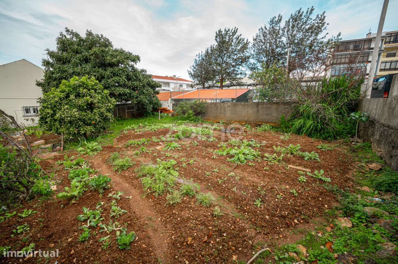 Terreno Alvide - Grande imagem: 3/3