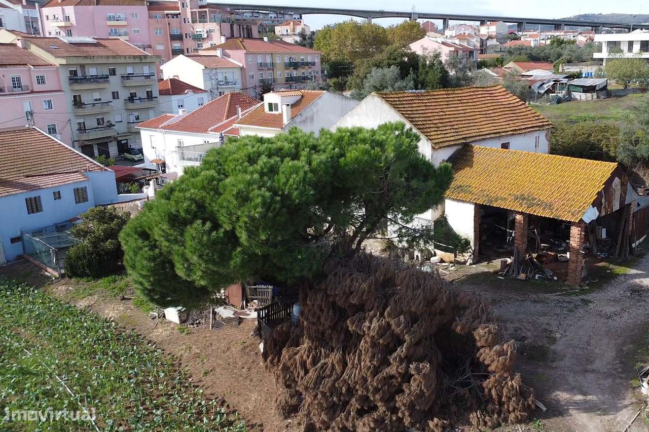 A Quinta da Repina, 18 660 m2 em cidade, no Barro em Loures-19