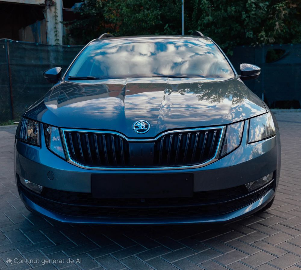 Skoda Octavia III [2013 - 2019] 2019