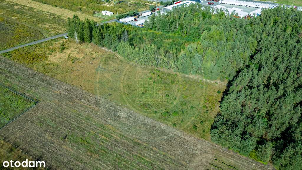 14/15968/OGS - Pełny obrazek: 4/13